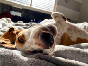 BoatGuyLikesBlunts's LeafedOut Profile