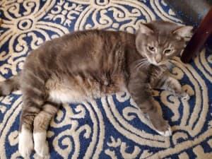 toomanycurls's LeafedOut Profile