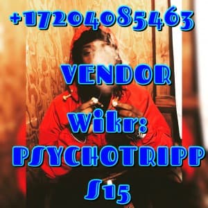 Pluglilsmart15's LeafedOut Profile