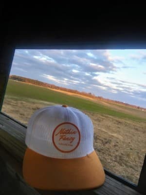 allamerican1211's LeafedOut Profile