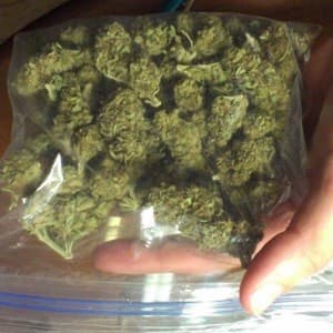 Weed4sale63's LeafedOut Profile