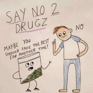 Stonedaccountant's LeafedOut Profile