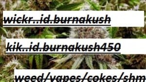 fdhykgjk's LeafedOut Profile