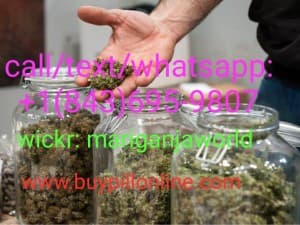 budcluber's LeafedOut Profile