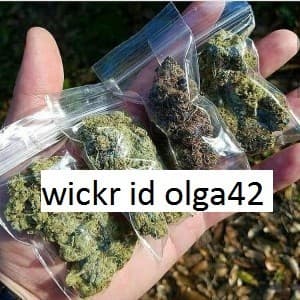 davidweed4205's LeafedOut Profile