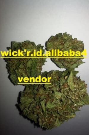 buymarijuanafromligetplug002's LeafedOut Profile