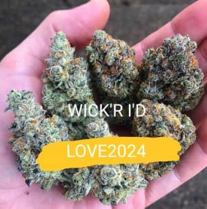 skjutsd's LeafedOut Profile