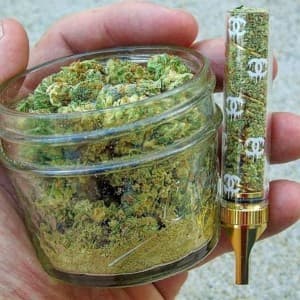 Weedplug681's LeafedOut Profile