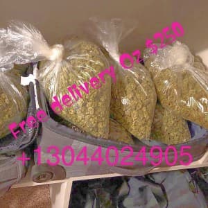 Andoni12's LeafedOut Profile