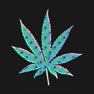 yourhighness420's LeafedOut Profile
