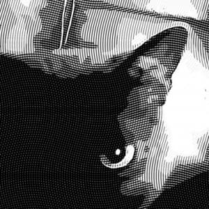 Murky12's LeafedOut Profile