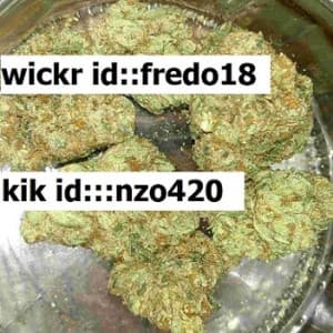HSAJD745's LeafedOut Profile