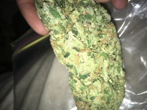 Damo442's LeafedOut Profile
