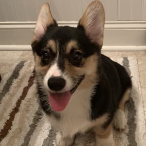steakbb99's LeafedOut Profile
