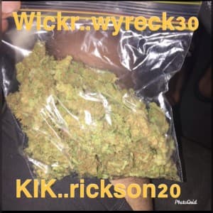 orocklolo's LeafedOut Profile