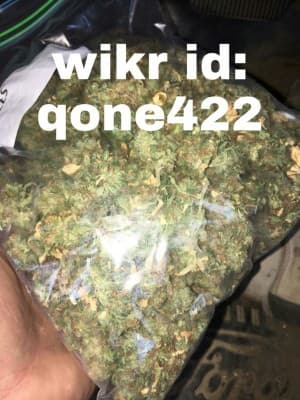 banga404's LeafedOut Profile