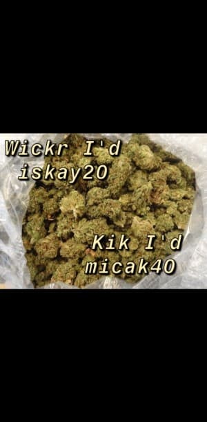 lifeofweed's LeafedOut Profile