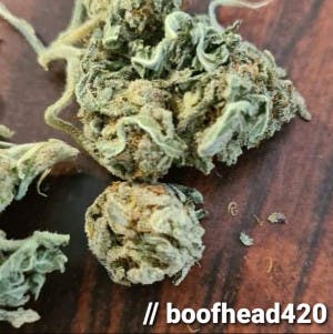 boofhead420's LeafedOut Profile