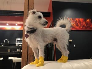 Scruffy's LeafedOut Profile