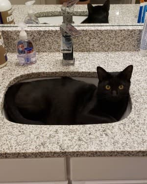 stanleynala's LeafedOut Profile
