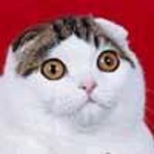 CarthagoDelendaEst's LeafedOut Profile