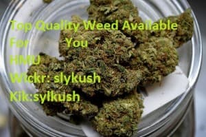 njgtdxzsertyuhnkmmmbb's LeafedOut Profile