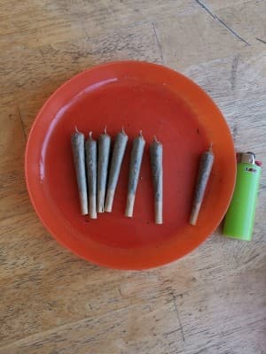 FuN-StuD's LeafedOut Profile