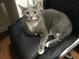 ilbirdies's LeafedOut Profile