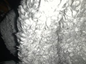 Coco33's LeafedOut Profile