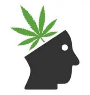 budhunter1ftp's LeafedOut Profile