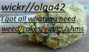 ugytdty's LeafedOut Profile