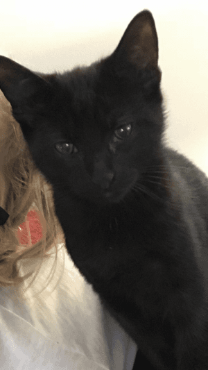 SamFox's LeafedOut Profile