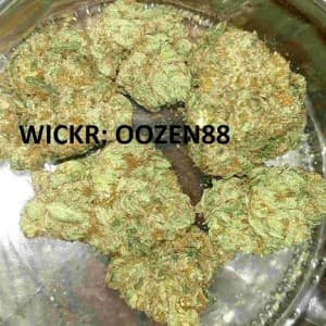 420BB1's LeafedOut Profile