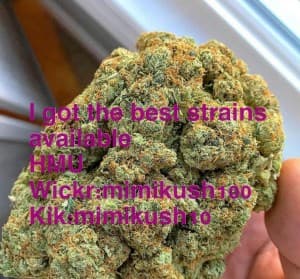 Mimikush's LeafedOut Profile