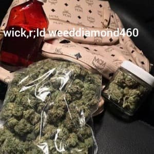 leaking420's LeafedOut Profile