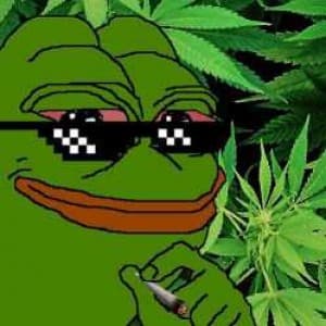 anonymousman96's LeafedOut Profile