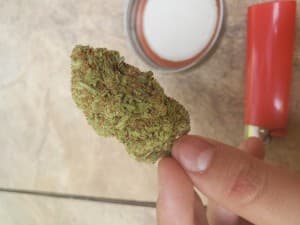 GucciGreen420's LeafedOut Profile