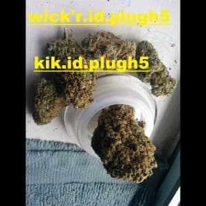 vgcfdyetrdsxsj's LeafedOut Profile
