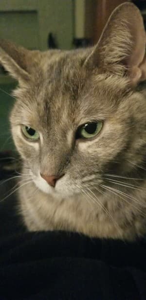 Citykitty39's LeafedOut Profile
