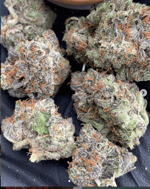 gethigh1241's LeafedOut Profile