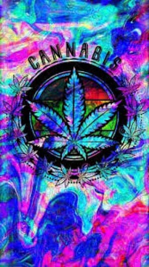 Bonglord72's LeafedOut Profile