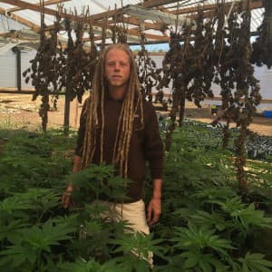 Davis420breksman's LeafedOut Profile