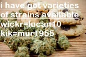 weed420here's LeafedOut Profile