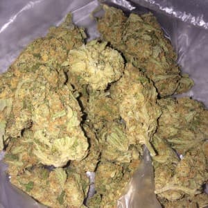 againtsfelony's LeafedOut Profile
