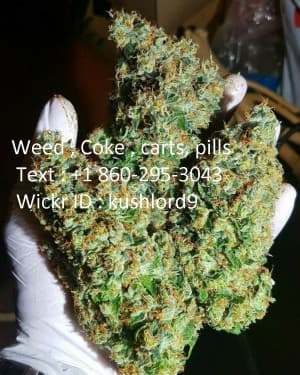 weedseller987's LeafedOut Profile