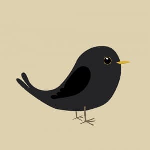 BlackbirdFly's LeafedOut Profile