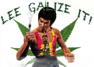 BruceLeaf's LeafedOut Profile