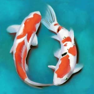 Koi33's LeafedOut Profile