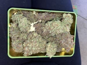 sailorbeugs420's LeafedOut Profile