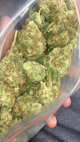 Super Sour Widow